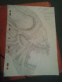 /album/mes-dessins/a404328-3123493495907-104799680-n-jpg/