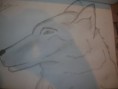 /album/mes-dessins/dscn4391-jpg/